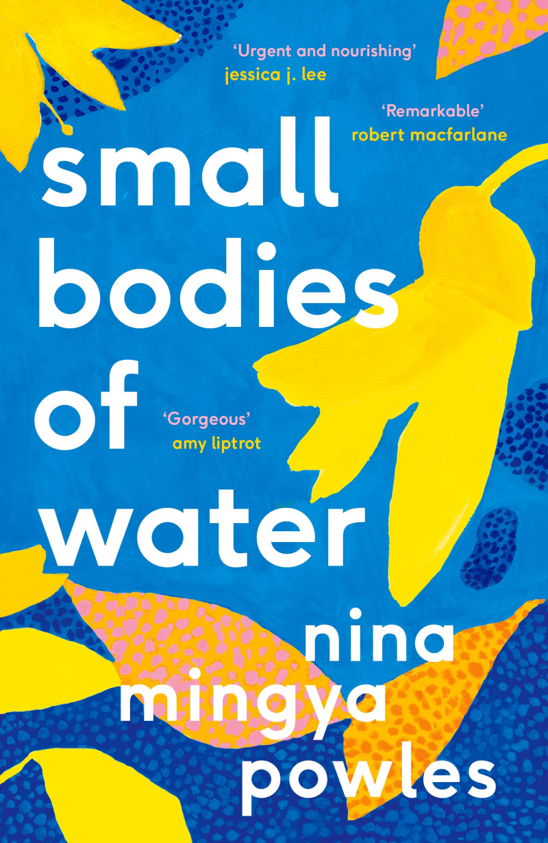 Small Bodies of Water by Nina Mingya Powles book cover